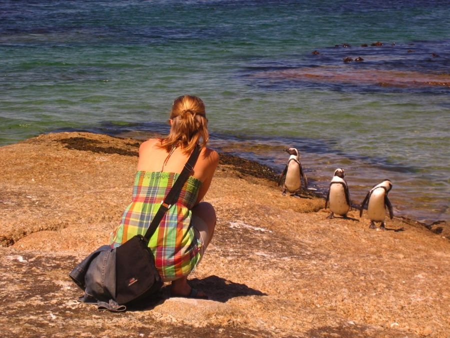 Boulders Beach