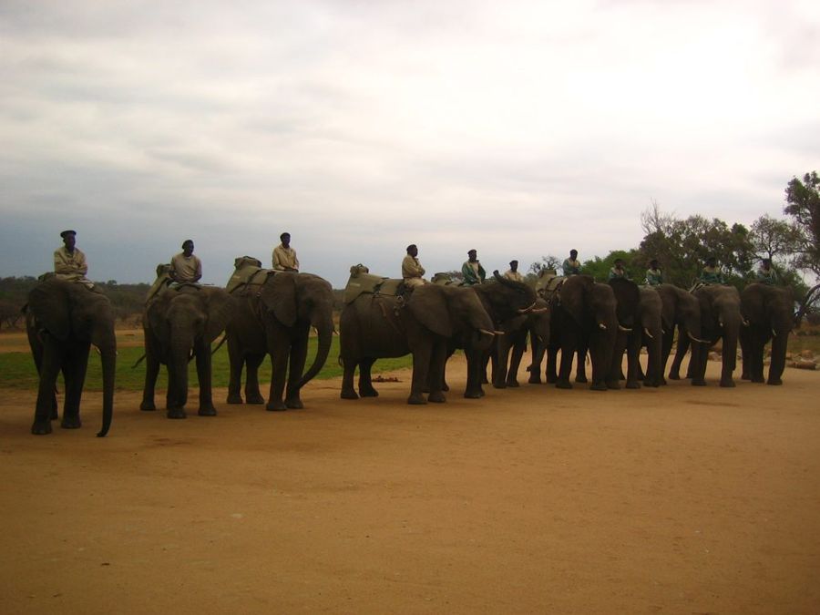 Camp Jabulani
