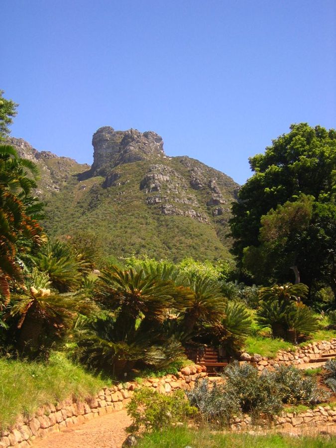 Kirstenbosch