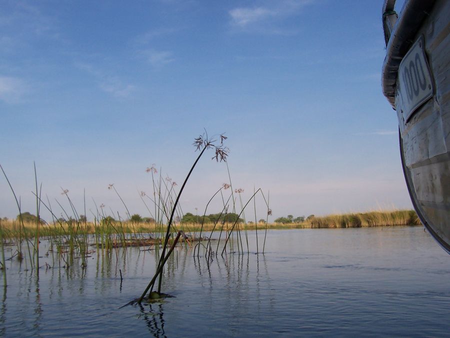 Sunrise on the water in the Okavango Delta