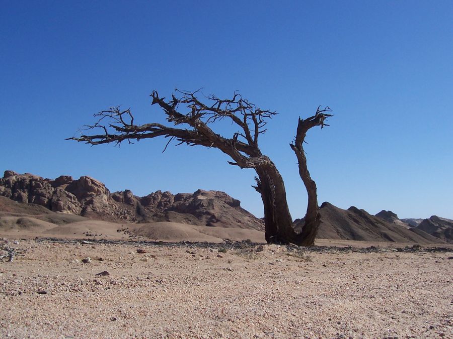 A small figure among the dunes outside Swakopmund