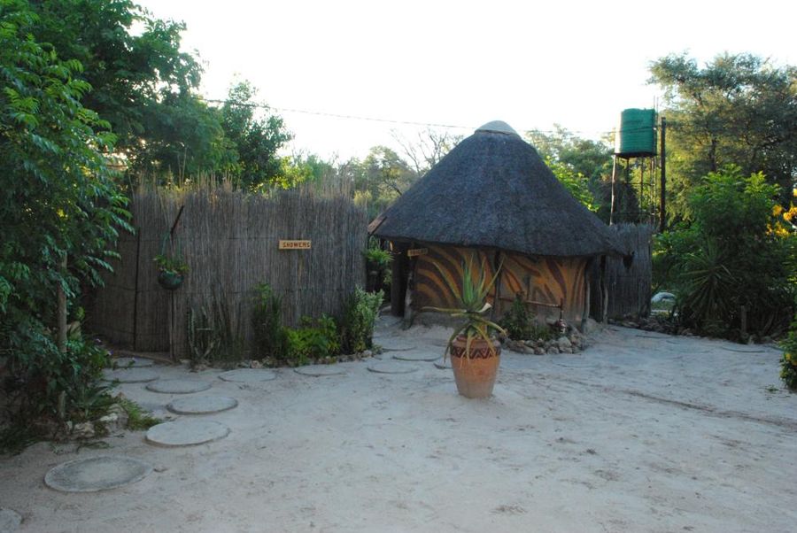 Maun