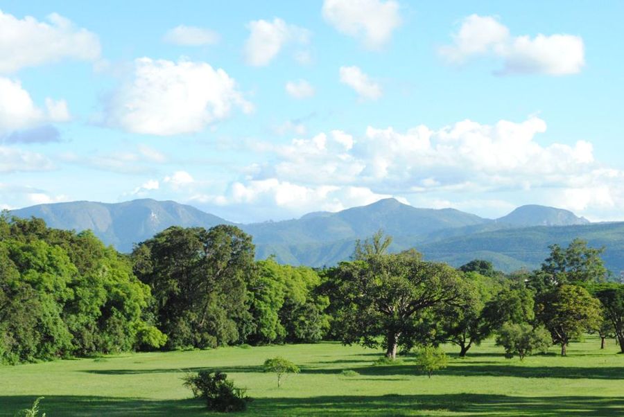 Mutare