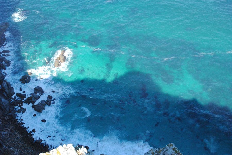 Cape Point & Cape of Good Hope