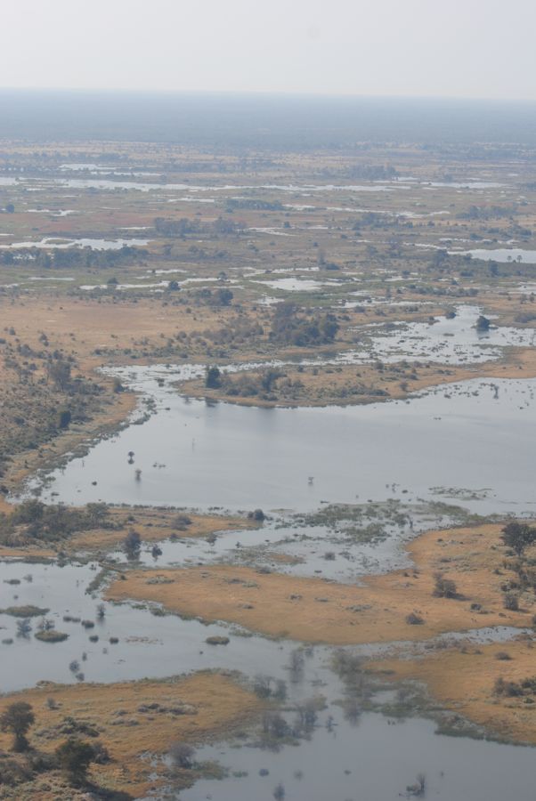 The Okavango Delta from the plane out of Maun