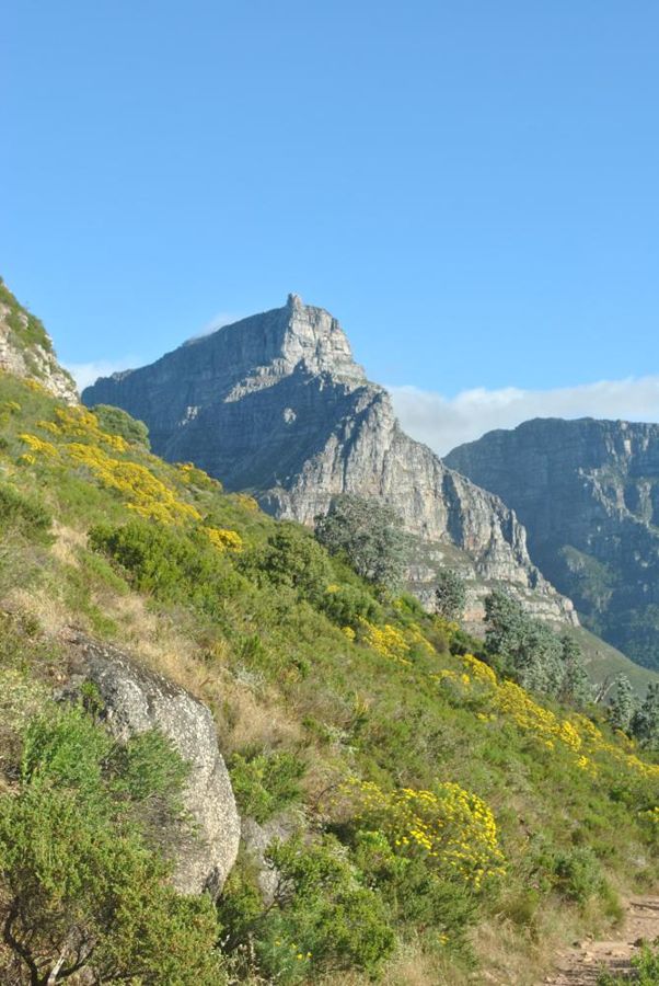 Table Mountain