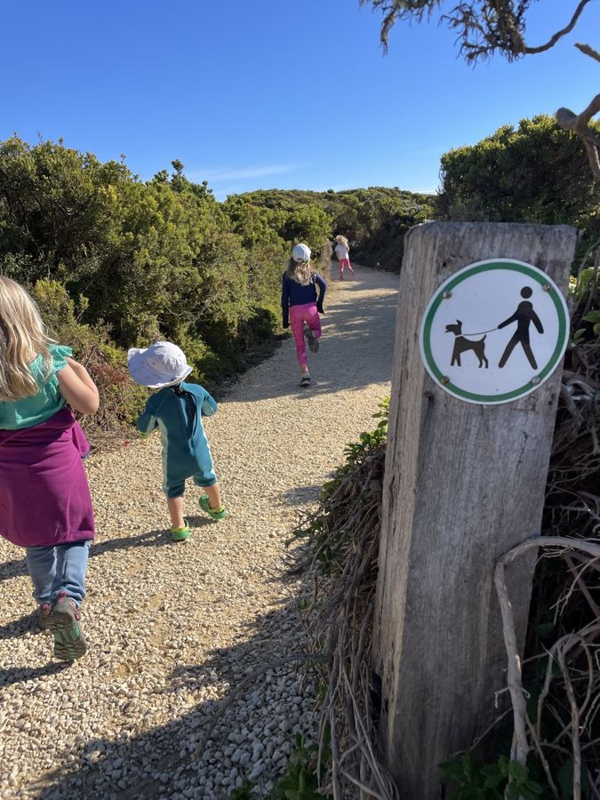 On the walking track to the Bay of Martyrs