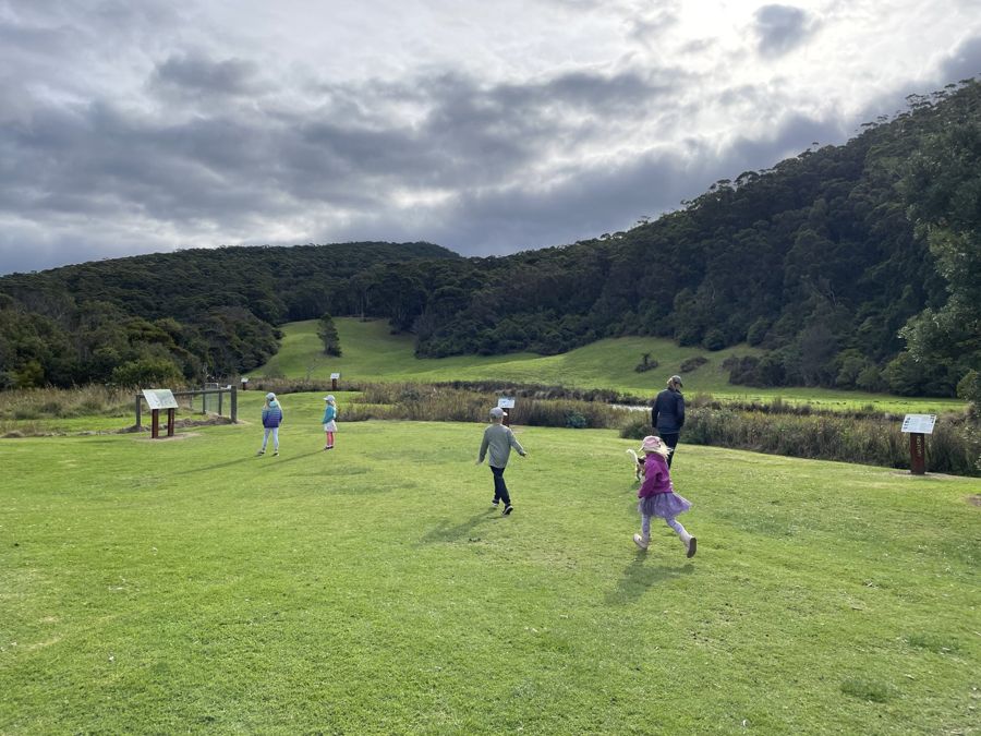 The picnic ground below the hills at Kennett River