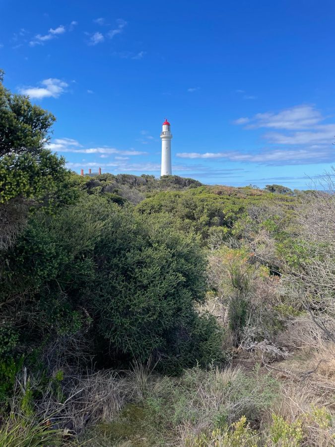Split Point Lighthouse through the coastal scrub